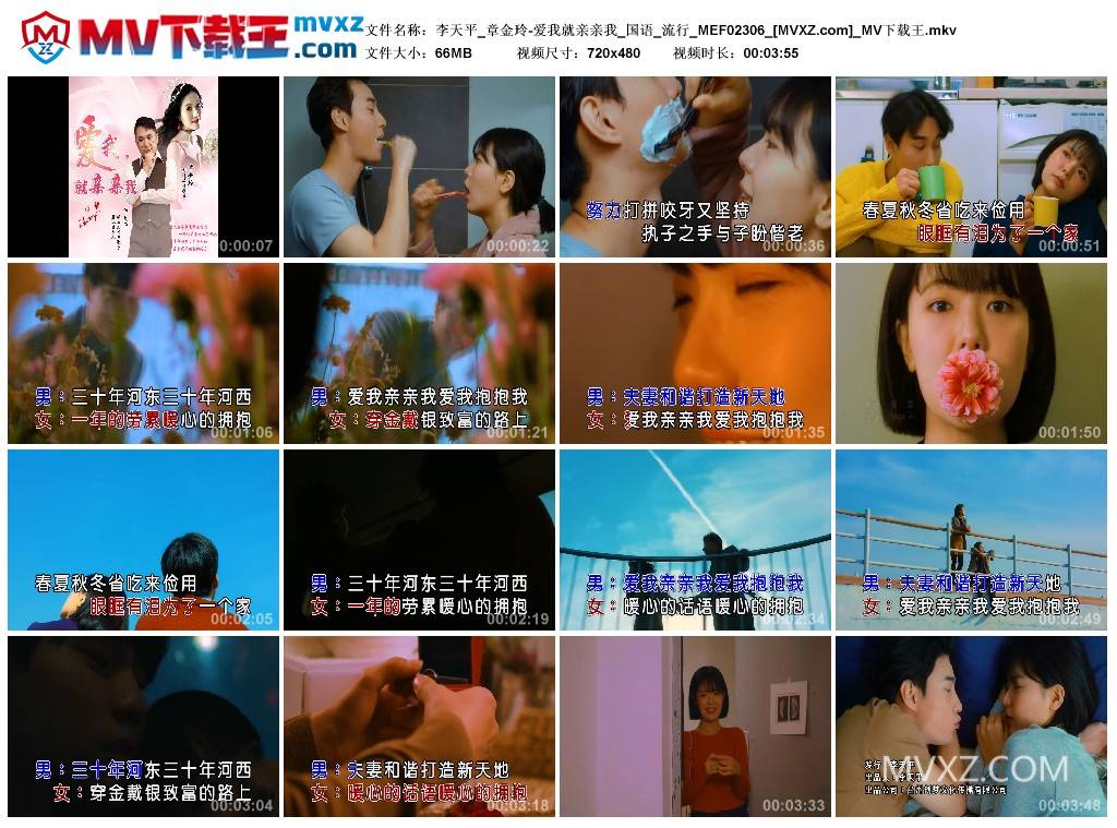 李天平_章金玲-爱我就亲亲我_国语_流行_MEF02306